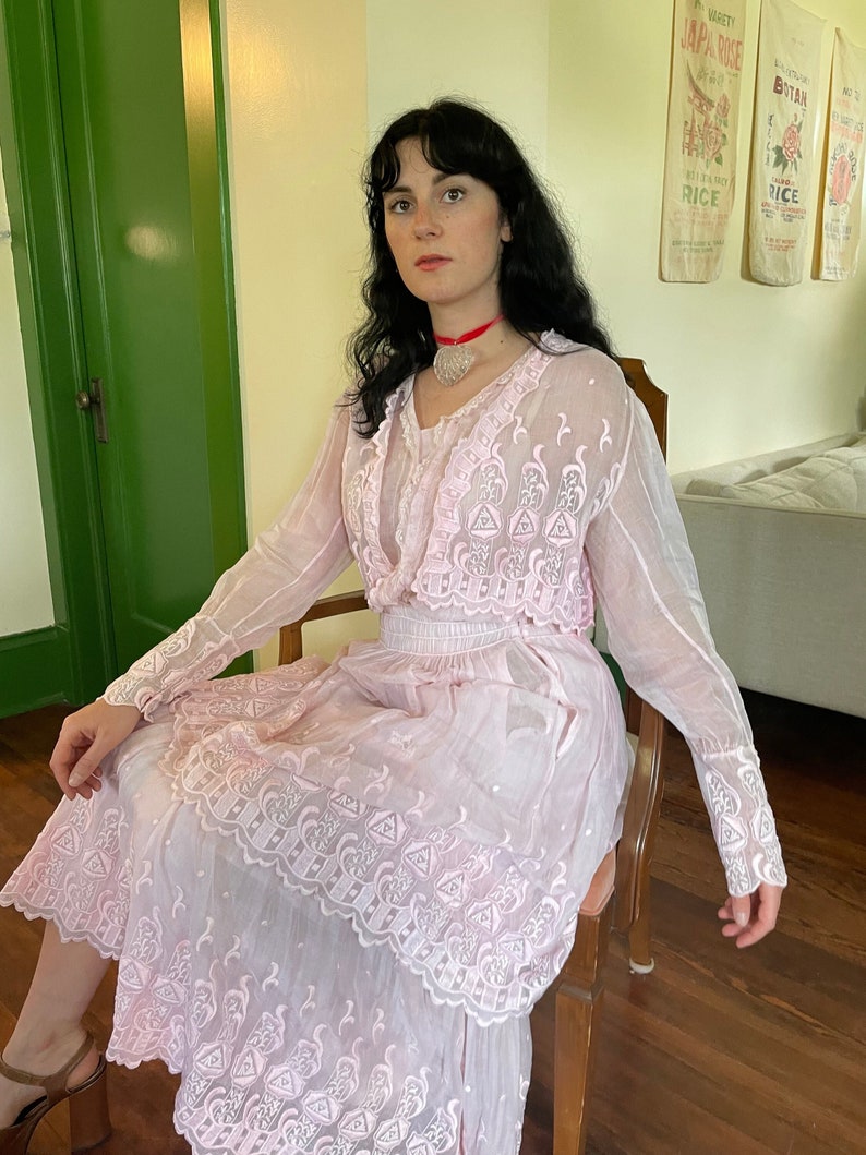 1910s Soft Pink Edwardian Embroidered Gown with Tiered Skirt and Long Sleeves size Small Medium image 1