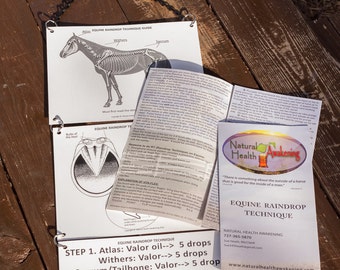 Equine Raindrop Technique Guide and instructional Brochure