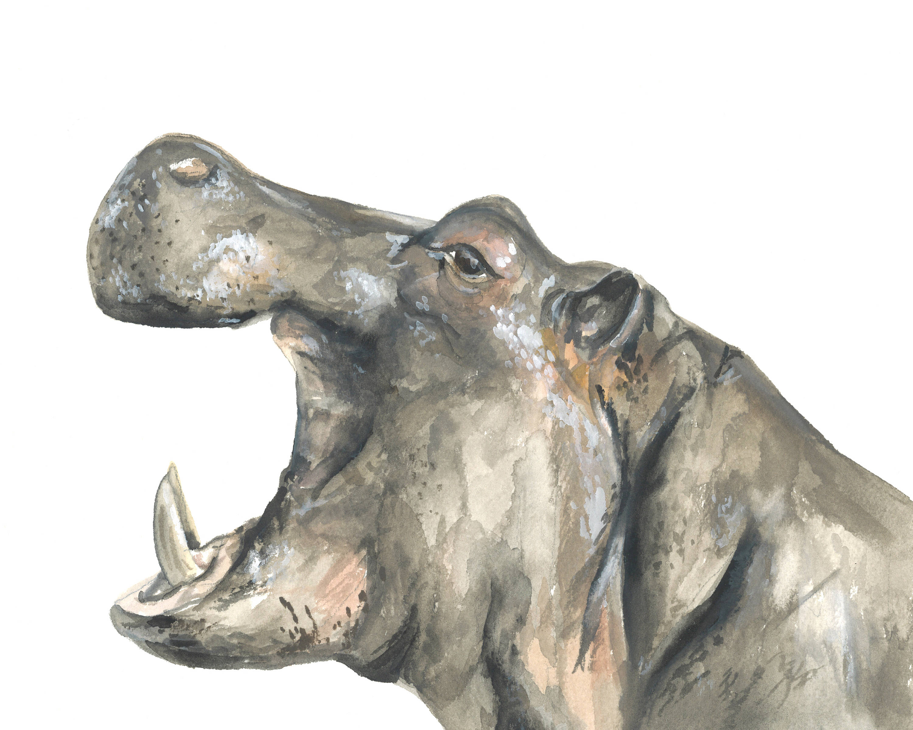 Hippopotamus art Hippopotamus watercolor Hippo nursery art