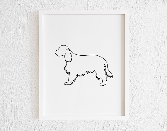 Cocker spaniel doodle 2025
