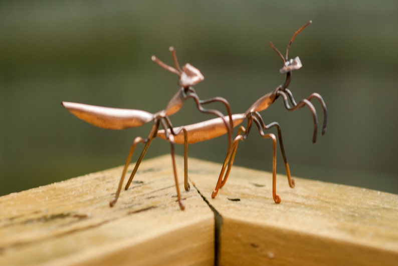 May include: Two copper wire sculptures of praying mantises on a wooden surface. The mantises are posed in a lifelike manner with their legs outstretched.