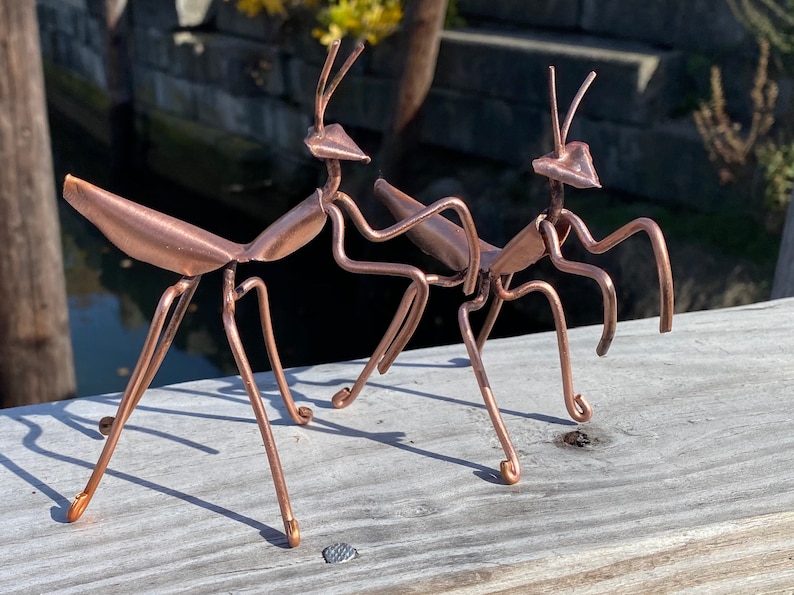 May include: Two copper metal praying mantis sculptures on a wooden surface. The mantises are posed in a lifelike manner with their legs outstretched.