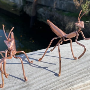 May include: Two copper wire sculptures of praying mantises. The larger mantis is standing on a wooden surface with its legs outstretched. The smaller mantis is standing on the same surface with its legs folded.