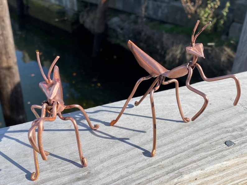 May include: Two copper wire sculptures of praying mantises. The larger mantis is standing on a wooden surface with its legs outstretched. The smaller mantis is standing on the same surface with its legs folded.