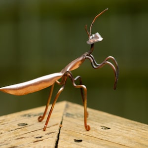 May include: A copper-colored metal sculpture of a praying mantis. The mantis is posed with its legs raised and its head tilted slightly to the side. The sculpture is sitting on a wooden surface.