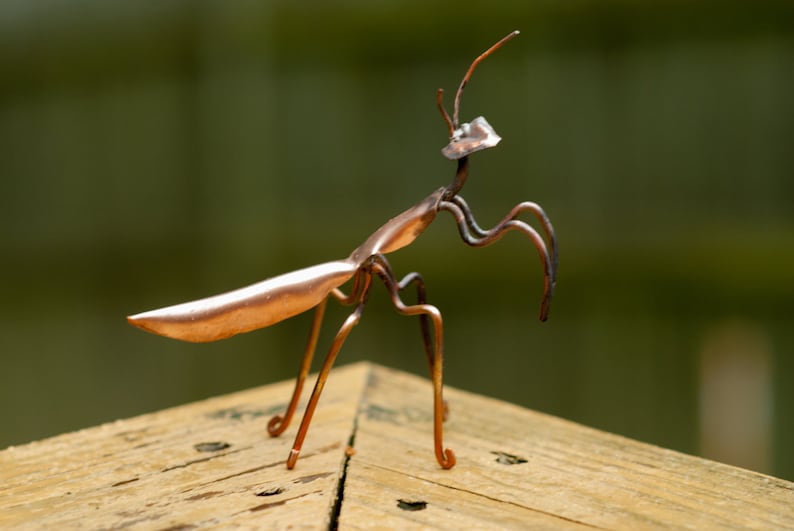May include: A copper-colored metal sculpture of a praying mantis. The mantis is posed with its legs raised and its head tilted slightly to the side. The sculpture is sitting on a wooden surface.