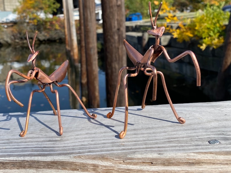 May include: Two copper-colored metal praying mantis sculptures on a wooden surface. The sculptures are detailed and realistic.