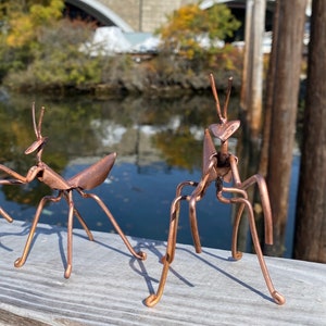 May include: Two copper-colored metal praying mantis sculptures. The sculptures are detailed and have a realistic appearance. The sculptures are on a wooden surface.