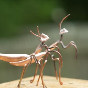 May include: Two copper praying mantis sculptures on a wooden surface. The sculptures are made of wire and have a realistic appearance.