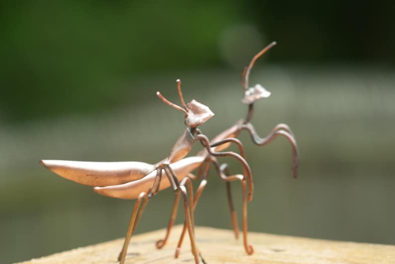 May include: Two copper praying mantis sculptures on a wooden surface. The sculptures are made of wire and have a realistic appearance.