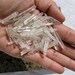 Clear Quartz Crystals - Bulk Lots Small Thin Crystal Points .5-1" Short Crystals, Natural Unpolished Rough Stones for Jewelry, Wire Wrapping