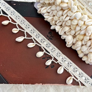 1 Yard Cowrie Shell Trim, Shell Trim Lace, Sea Shell, DIY Jean Jacket Trim, Beach décor, Bikini Trim, Scarf Lace, Belly Dance