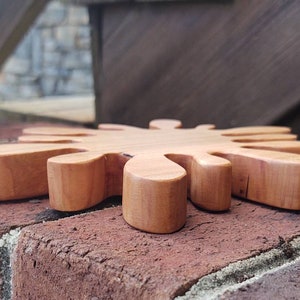 Splash wooden trivet image 3