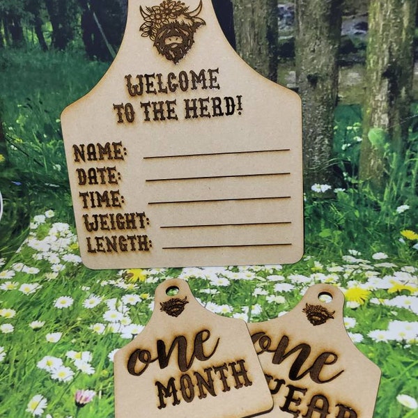 Girl Highland Cow Baby Welcome Ear Tag Milestone Announcement and Month Photo Prop Set | Laser Engraved | Custom Options | Rodeo, Herd