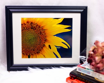 Fine Art Photography Print, Sunflower Photography, Sunflower Photo, Home Decor.