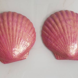 May include: Two pink seashell-shaped bath bombs with a shimmery gold finish.