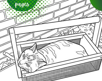 5 Page Digital Wild Cat Printable Coloring Book