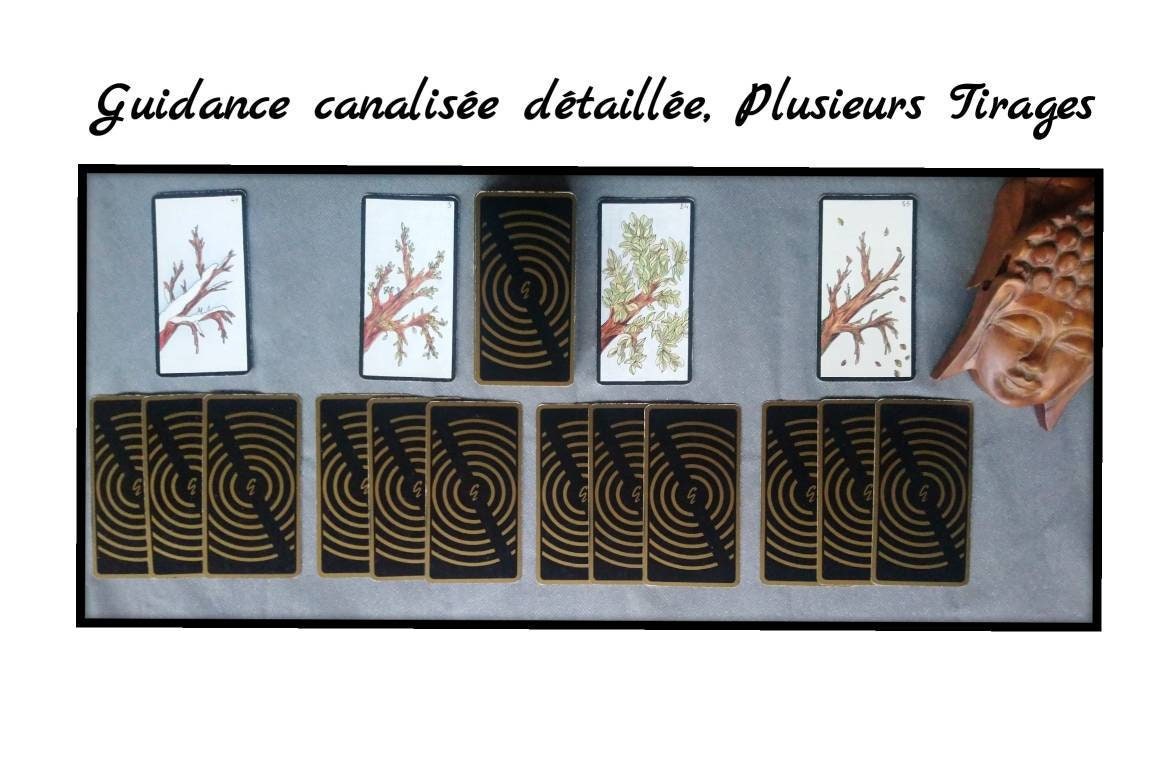 Guidance Détaillée Pour Éclaircir Plusieurs Situations Dans Tous Les Domaines de Vie Que Vous Désire