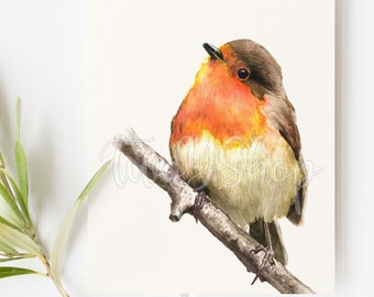 Watercolor Cute European Robin, High Quality PNG File for Junk Journals, Scrapbooking, Printable Instant Digital Download