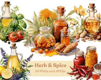 Watercolor Herb & Spice Clipart: Culinary Bottles (Digital Download)