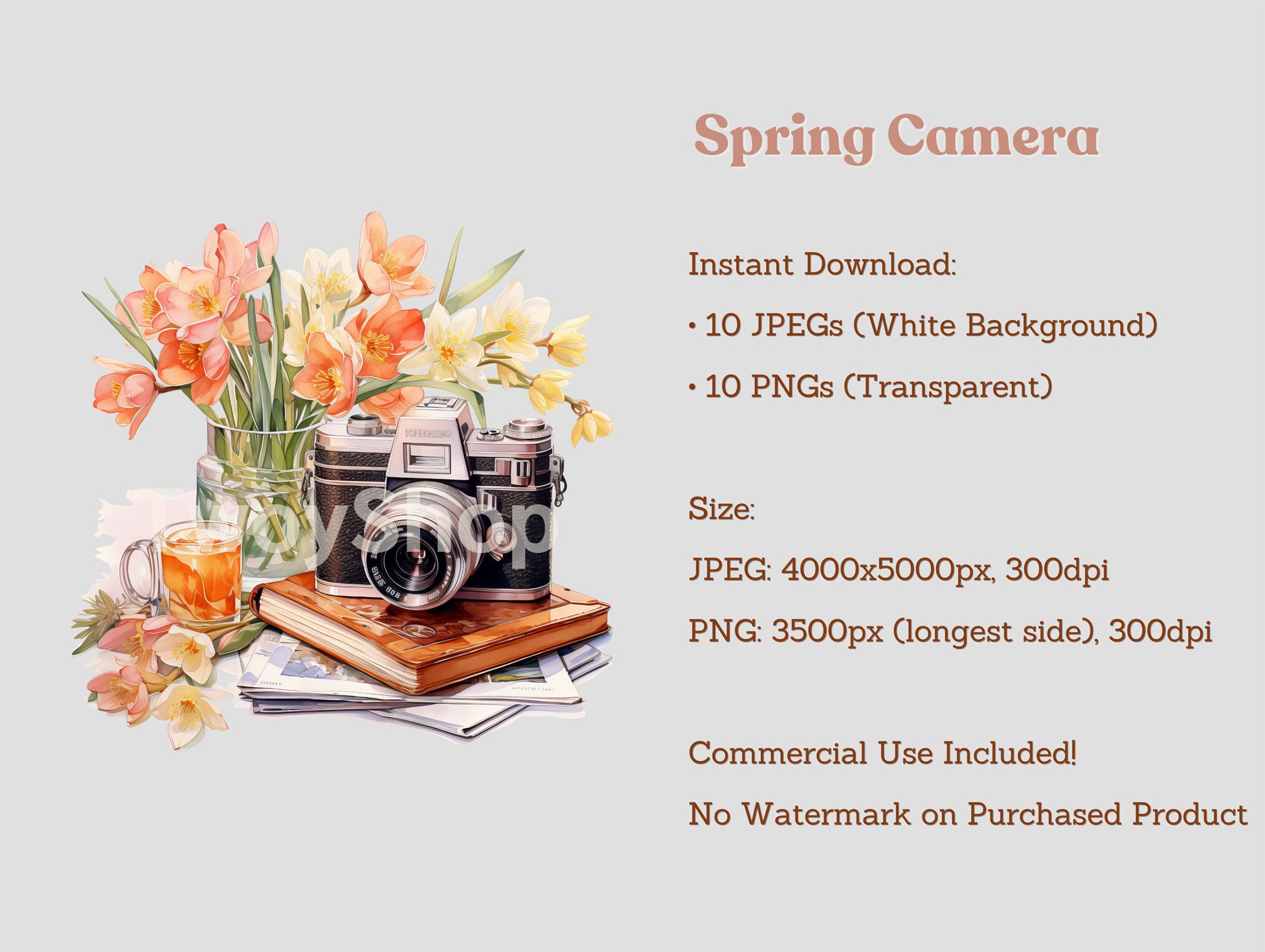 Watercolor Spring Camera Clipart, Hello Spring Floral Vintage Camera 10 ...