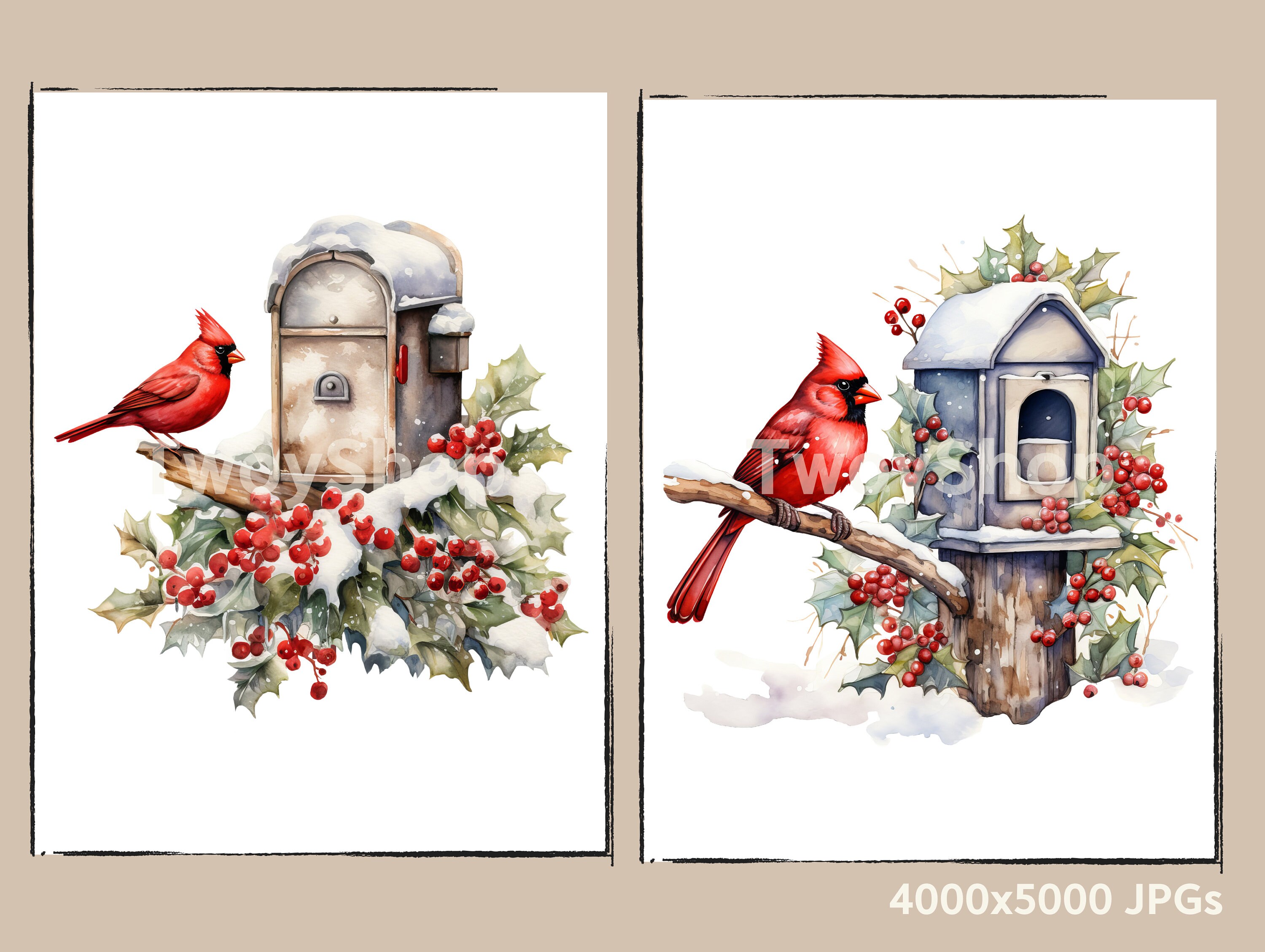 Watercolor Winter Red Cardinal Clipart, 10 High Quality Jpegs and Pngs ...