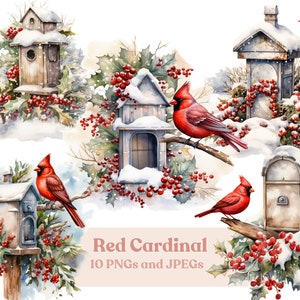 Aquarell Winter Roter Kardinal Clipart, 10 hochwertige JPEGs und PNGs, bedruckbar, digitaler Download, kommerzielle Nutzung