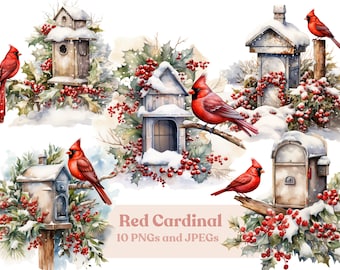 Watercolor Winter Red Cardinal Clipart, Commercial Use (Digital Download)