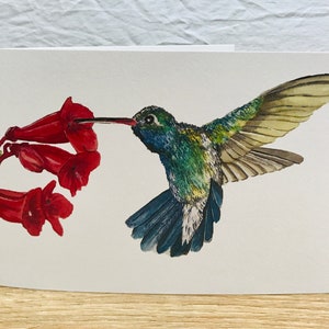 Biglietto di auguri - Colibrì con fiori rossi
