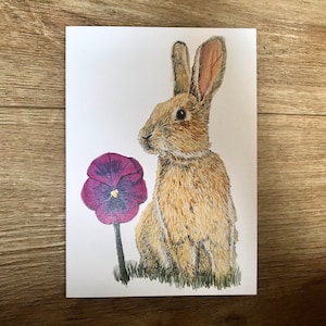 Grußkarte Hase und Stiefmütterchen