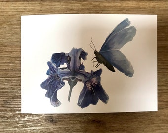 Butterfly with a blue iris greetings card