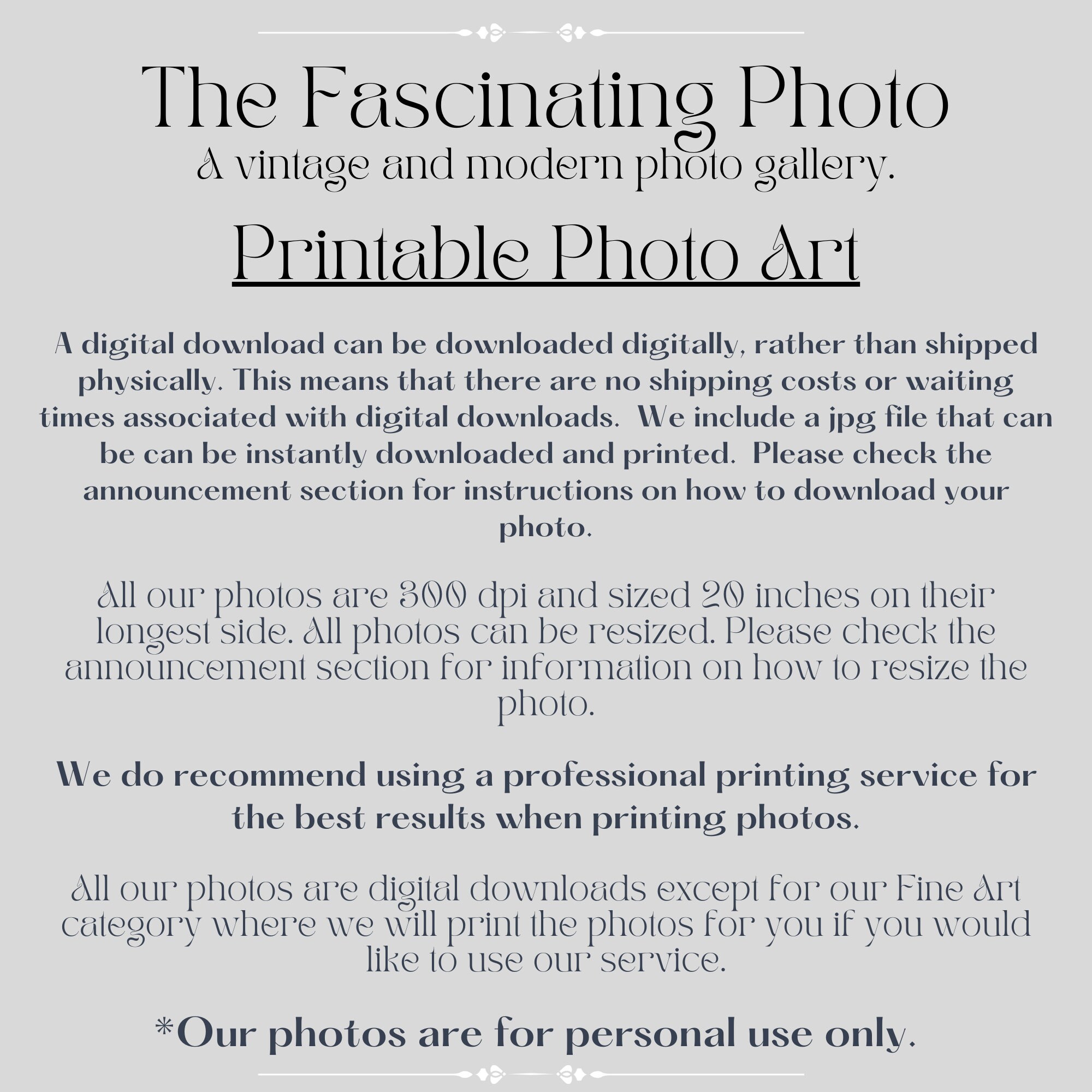 1883 Princeton Football Team Photo Etsy