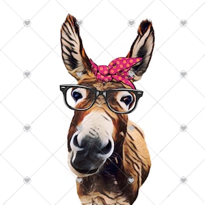 Donkey PNG add your own saying