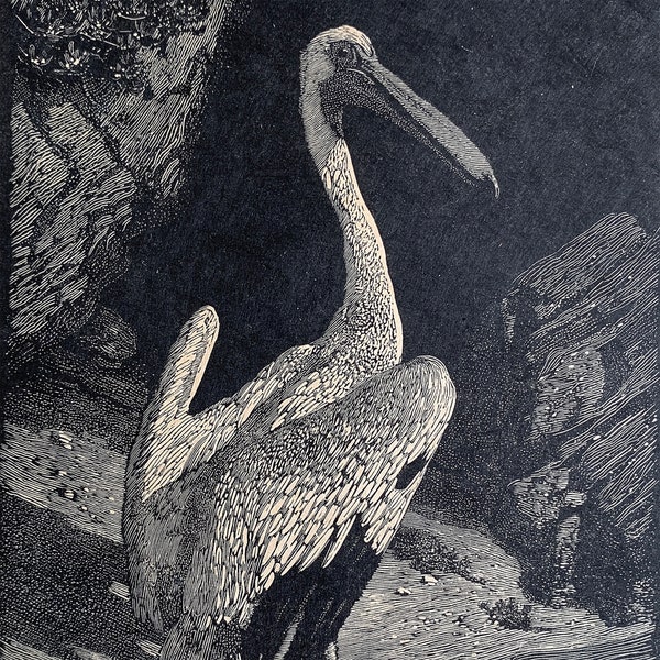 1930s Lionel Lindsay (1874 - 1961) Wood Engraving, "Pelican," Edition of 100