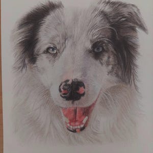 Custom Realistic hand drawn Pet Portrait, Coloured pencil from a photo, Commissions, Animal Lover gift, Personalised Gift, Memorial Portrait