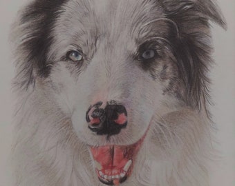 Custom Realistic hand drawn Pet Portrait, Coloured pencil from a photo, Commissions, Animal Lover gift, Personalised Gift, Memorial Portrait