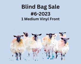 Blind Bag Sale - Bundle #6-2023 - one medium vinyl front project bag, Project Bag, Knitting Project Bag, Zippered Pouch, Crochet Bag