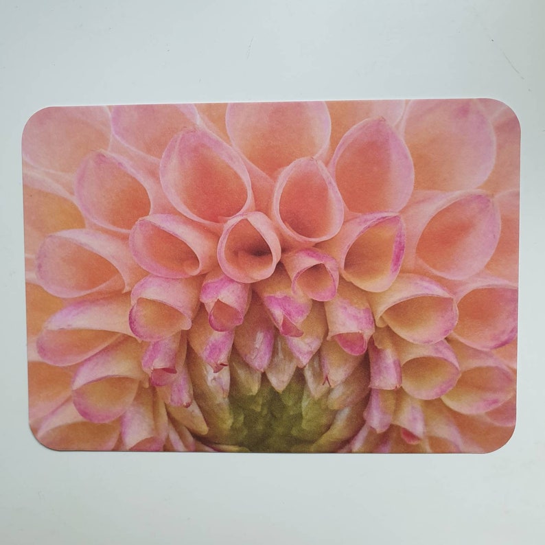 Carte florale imprimée sur papier recyclé à partir de mes photos de la natureRef. 86 image 2