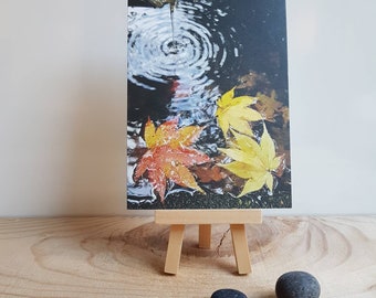 May include: A postcard featuring a photograph of water droplets creating ripples in a pond, with vibrant yellow and red autumn leaves floating on the surface. The postcard is displayed on a small wooden easel, with two smooth stones in front.