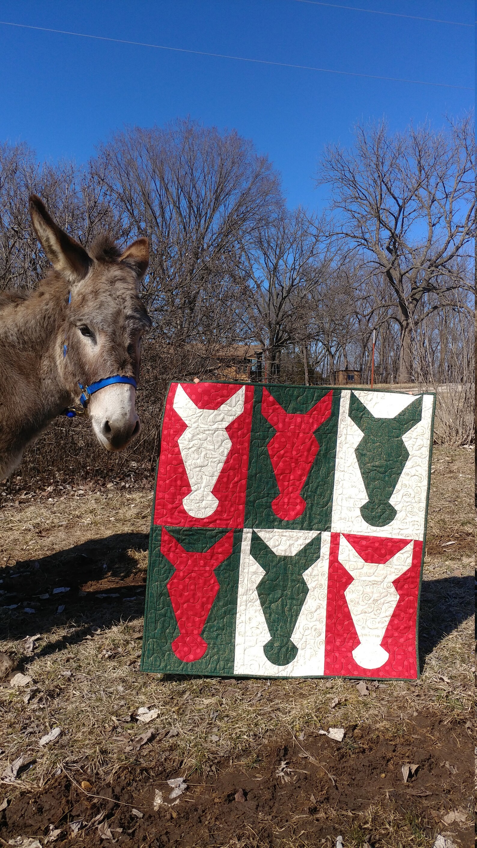 PDF Heehaw Donkey Quilt Pattern Digital Download by Slice of Etsy