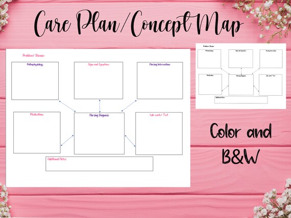 Care Plan/concept Map  Etsy