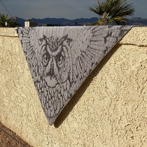 Snowy Owl Illusion Shawl