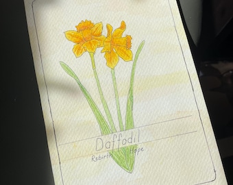 Narzisse Aquarellmalerei