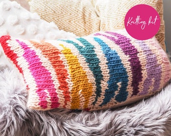 Knit Kit - Rainbow Zebra Print Cushion Cover - animal print cushion Knitting Kit