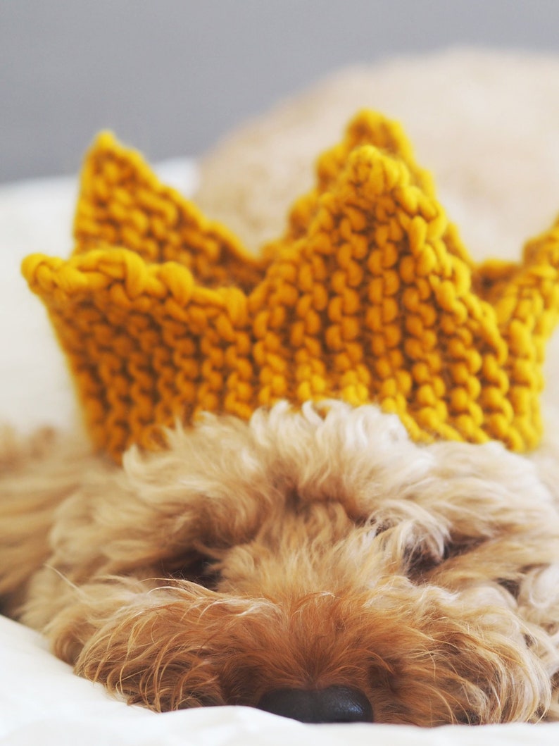 Christmas Crown Super Chunky Knitted Mustard Crown Perfect for children, dogs or adults FREE UK Delivery image 6