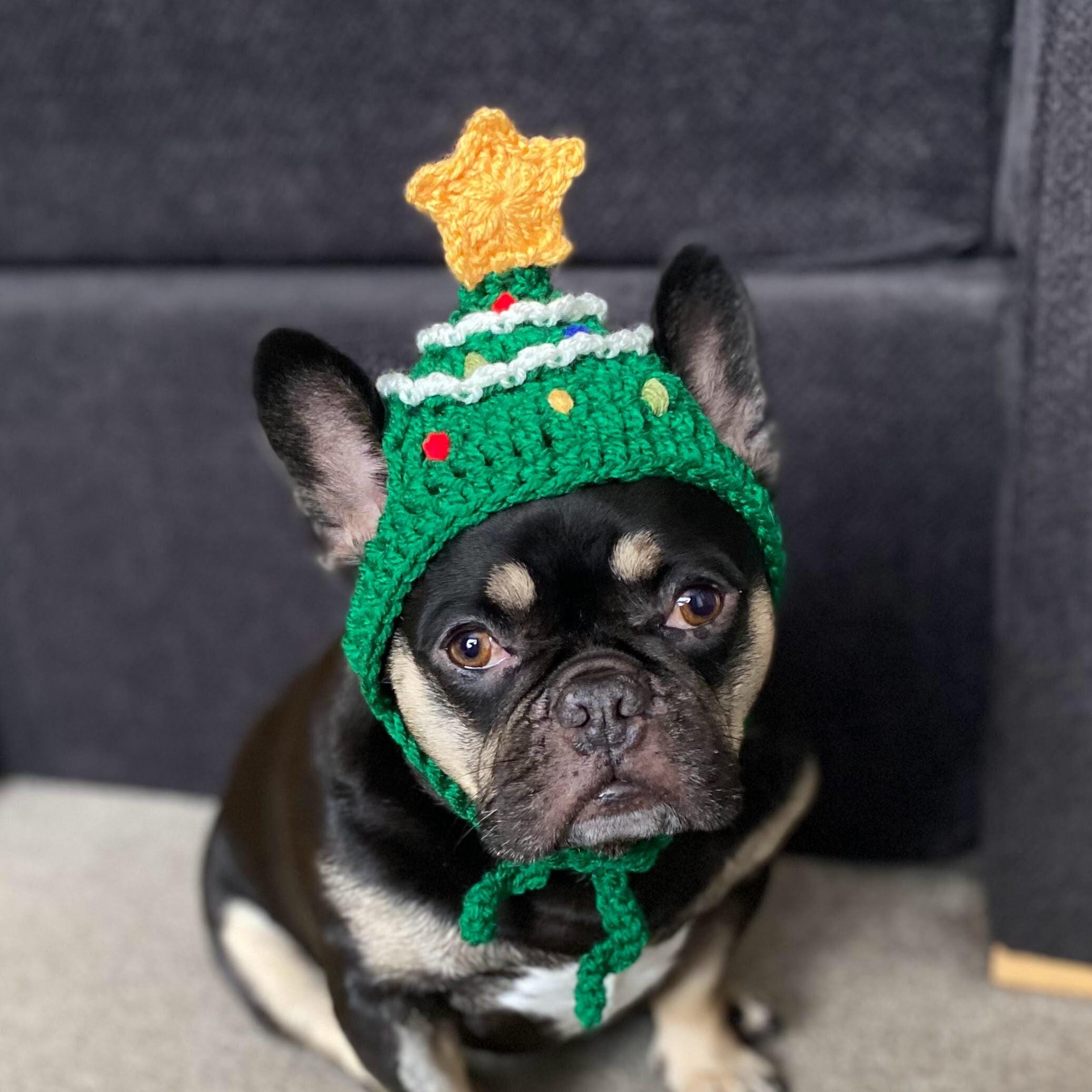 Etsy dog hats hot sale