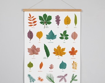 Leaves of the British Isle wall art print