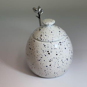 Sugar Bowl with Lid and Spoon in Speckled Blue Glaze