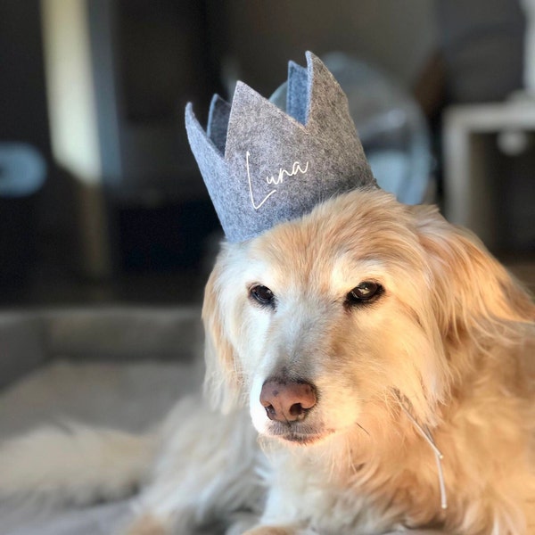 Couronne de chien personnalisée | Pour l’anniversaire parfait du chien