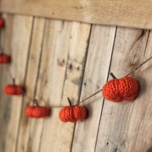 Knit Pumpkin garland/ Fall decor/ Autumn display/ Thanksgiving display/ Rustic home decor/ pumpkin bunting